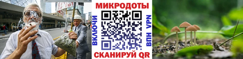 что такое   Реутов  Псилоцибиновые грибы мухоморы 